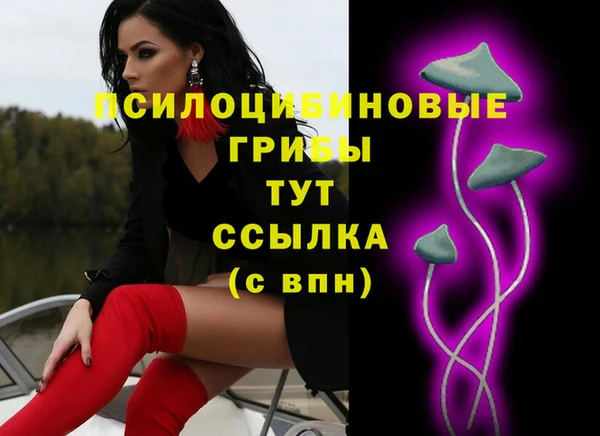 меф Дмитриев