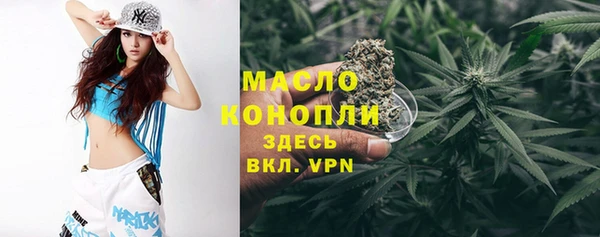 меф Дмитриев