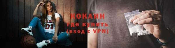 меф Дмитриев